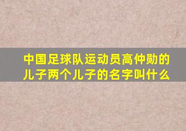 中国足球队运动员高仲勋的儿子两个儿子的名字叫什么