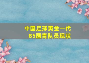 中国足球黄金一代85国青队员现状