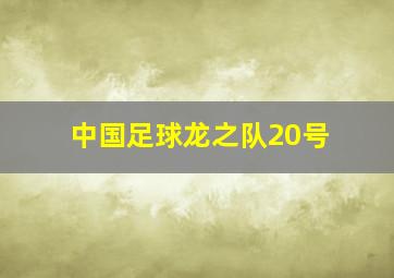 中国足球龙之队20号