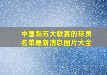 中国踢五大联赛的球员名单最新消息图片大全