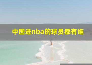 中国进nba的球员都有谁