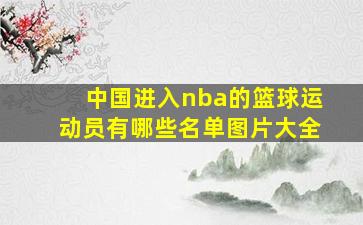 中国进入nba的篮球运动员有哪些名单图片大全