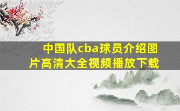 中国队cba球员介绍图片高清大全视频播放下载