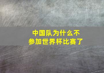 中国队为什么不参加世界杯比赛了