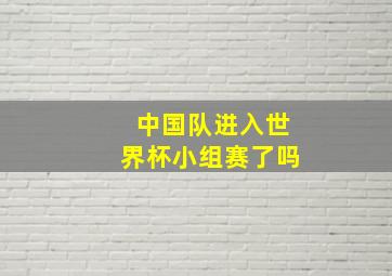 中国队进入世界杯小组赛了吗