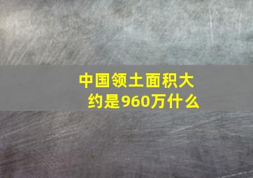 中国领土面积大约是960万什么