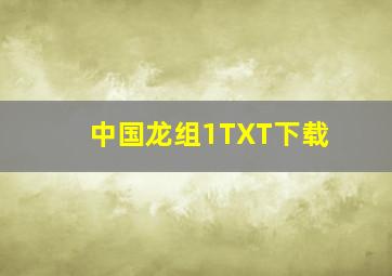 中国龙组1TXT下载