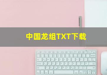 中国龙组TXT下载