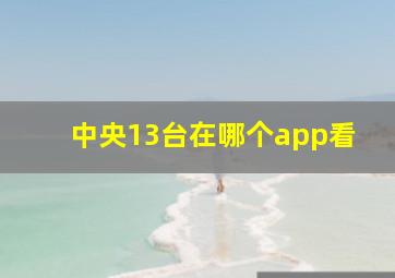 中央13台在哪个app看