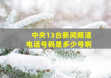 中央13台新闻频道电话号码是多少号啊