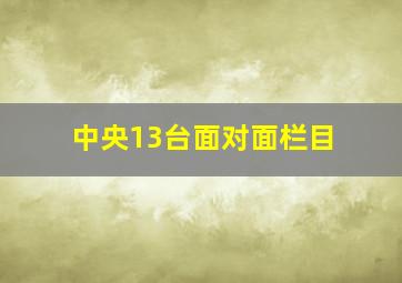 中央13台面对面栏目