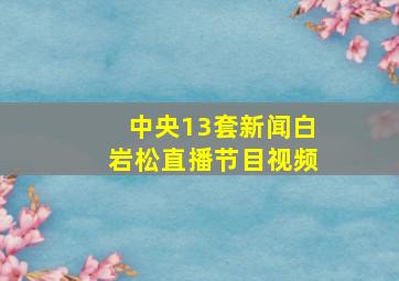 中央13套新闻白岩松直播节目视频