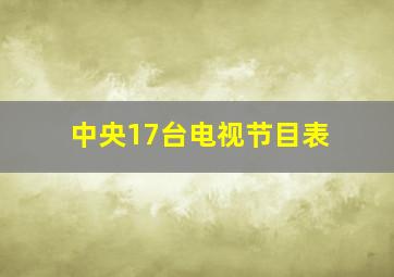 中央17台电视节目表