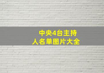 中央4台主持人名单图片大全