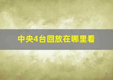 中央4台回放在哪里看