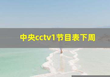 中央cctv1节目表下周