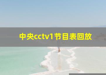 中央cctv1节目表回放