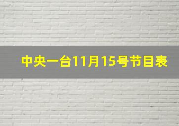 中央一台11月15号节目表