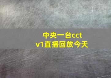 中央一台cctv1直播回放今天