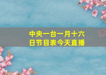 中央一台一月十六日节目表今天直播