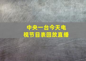 中央一台今天电视节目表回放直播