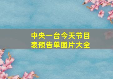 中央一台今天节目表预告单图片大全