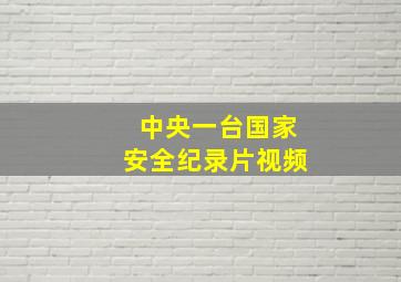 中央一台国家安全纪录片视频