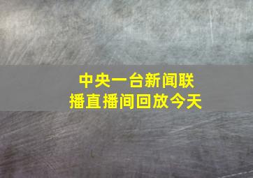 中央一台新闻联播直播间回放今天