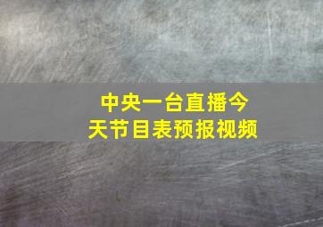 中央一台直播今天节目表预报视频