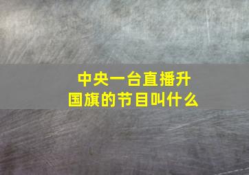 中央一台直播升国旗的节目叫什么