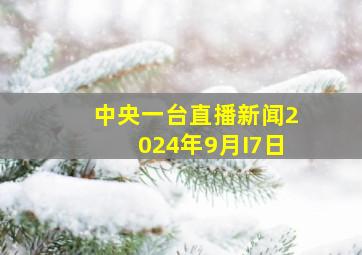 中央一台直播新闻2024年9月I7日