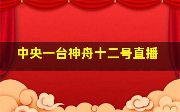 中央一台神舟十二号直播