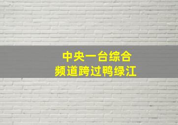 中央一台综合频道跨过鸭绿江