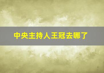 中央主持人王冠去哪了