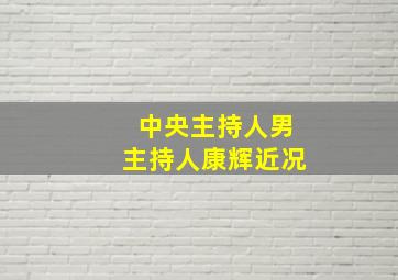 中央主持人男主持人康辉近况