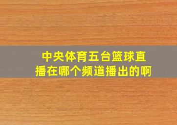 中央体育五台篮球直播在哪个频道播出的啊