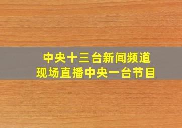 中央十三台新闻频道现场直播中央一台节目