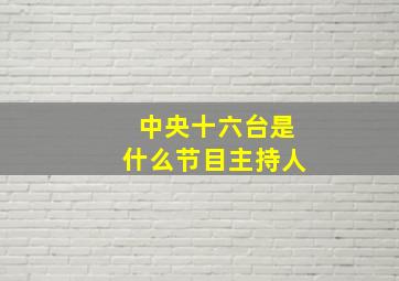 中央十六台是什么节目主持人