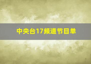 中央台17频道节目单