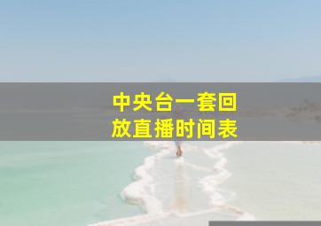 中央台一套回放直播时间表