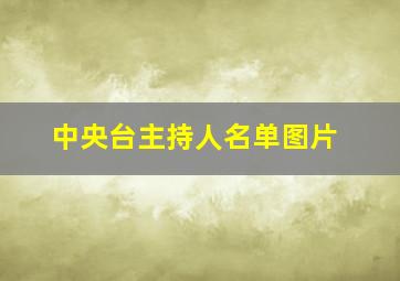 中央台主持人名单图片