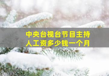 中央台视台节目主持人工资多少钱一个月