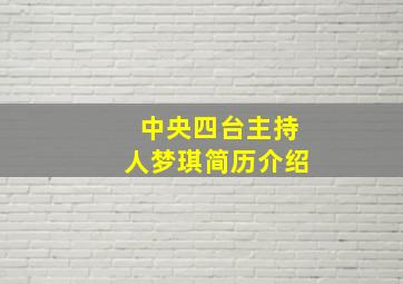 中央四台主持人梦琪简历介绍