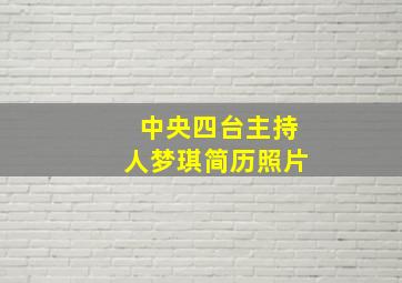 中央四台主持人梦琪简历照片