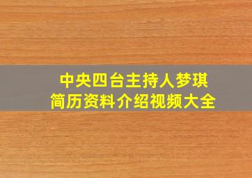 中央四台主持人梦琪简历资料介绍视频大全