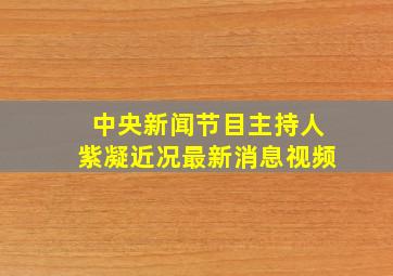 中央新闻节目主持人紫凝近况最新消息视频