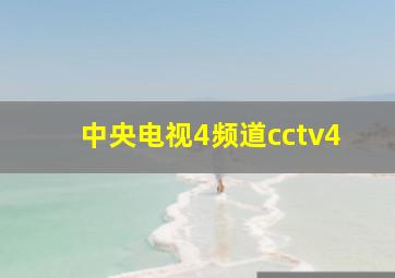 中央电视4频道cctv4