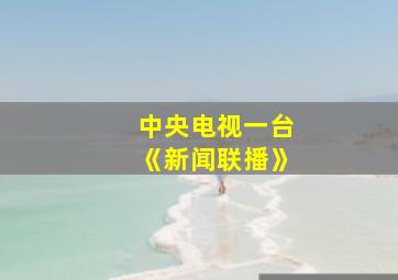 中央电视一台《新闻联播》