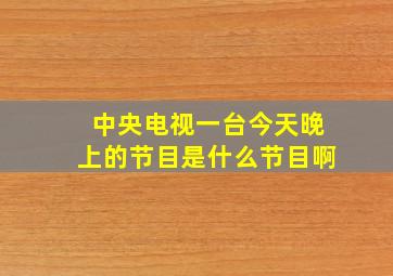 中央电视一台今天晚上的节目是什么节目啊