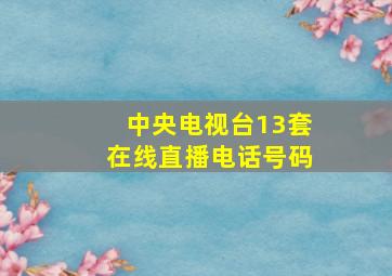 中央电视台13套在线直播电话号码